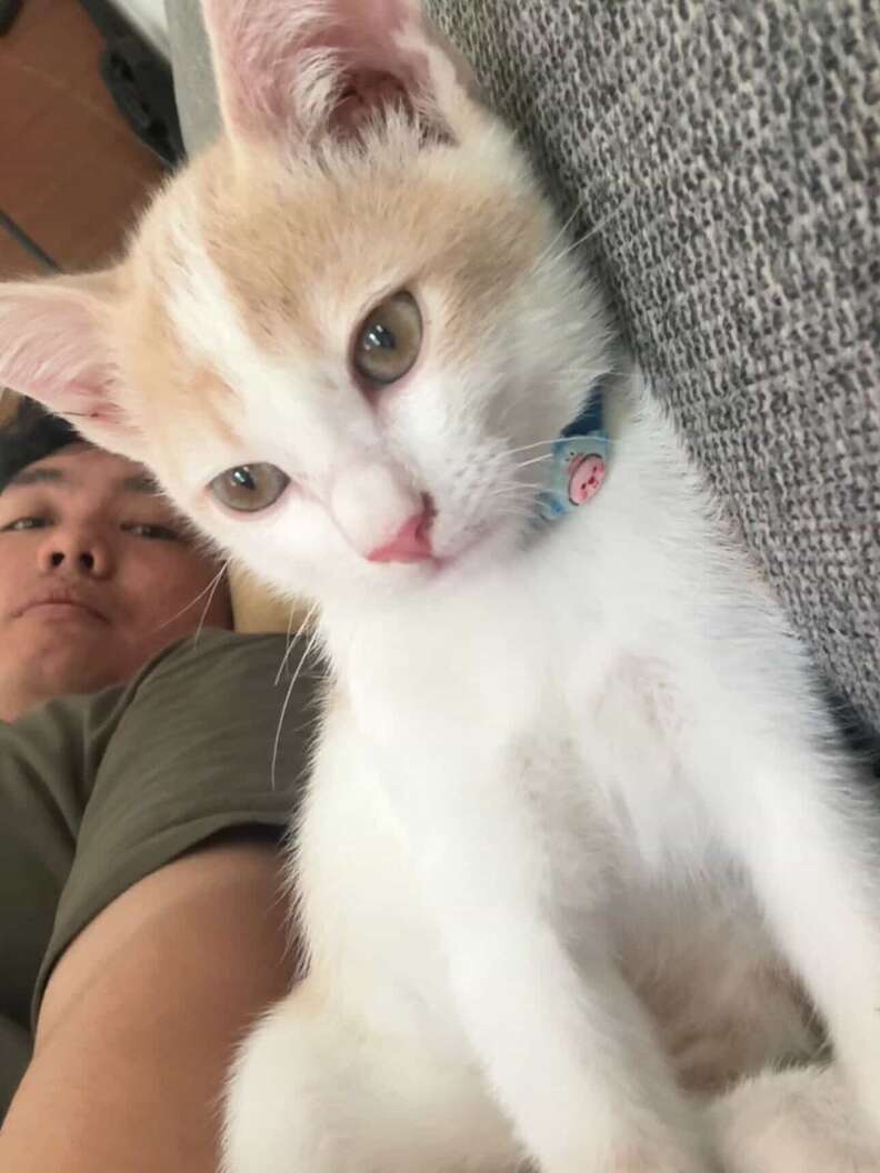 シャドウエースのパフォーマンス