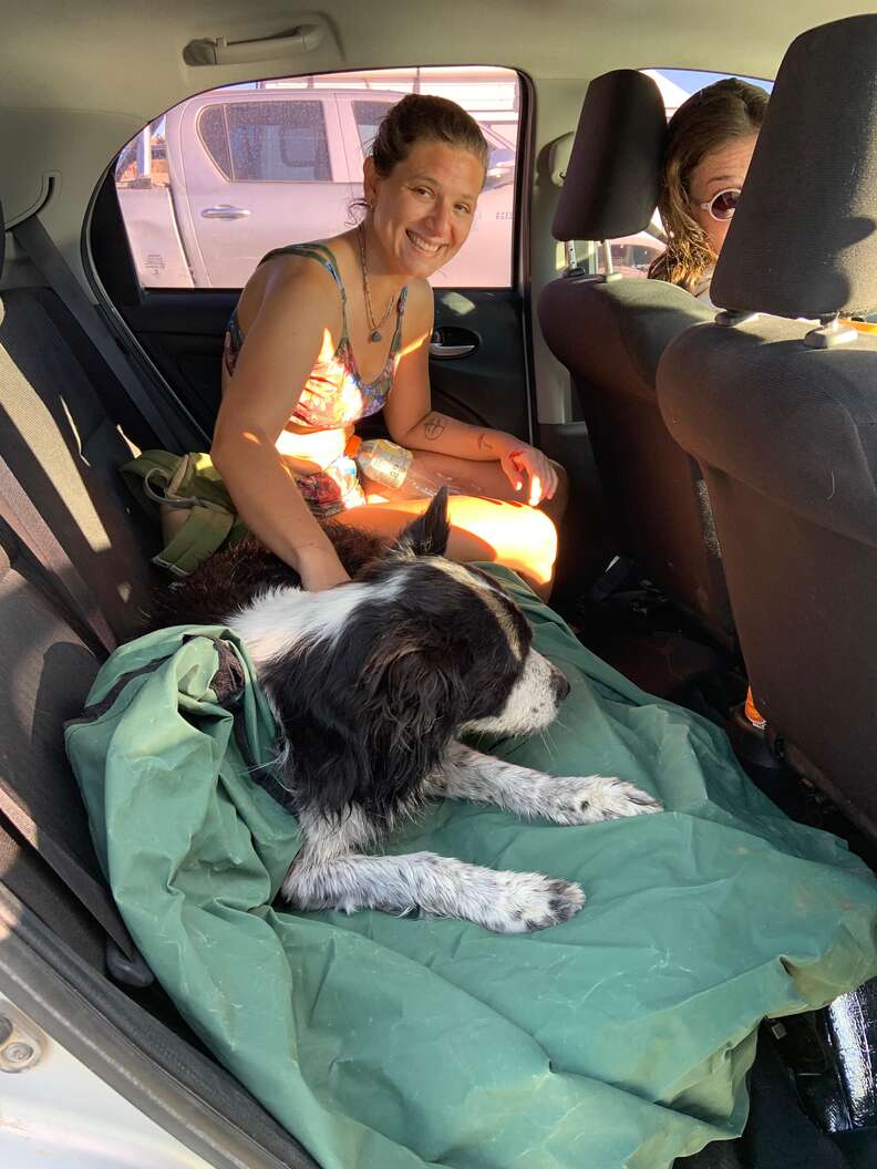 犬を助けた獣医たち