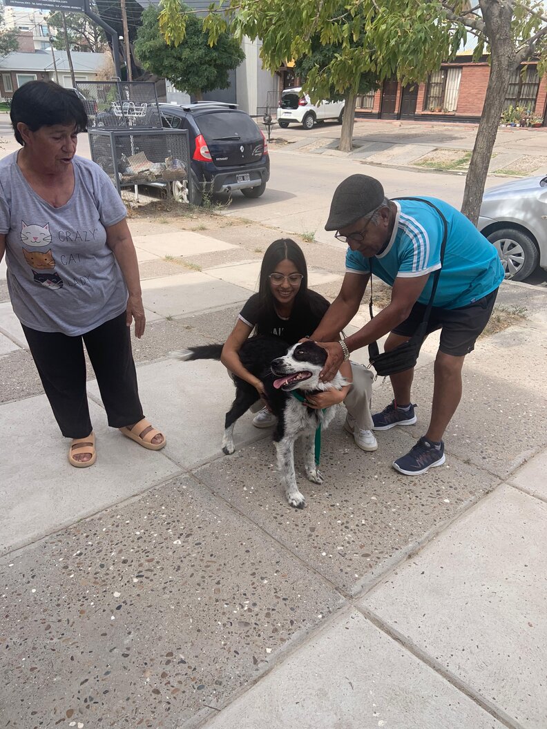 ロッコと獣医たち