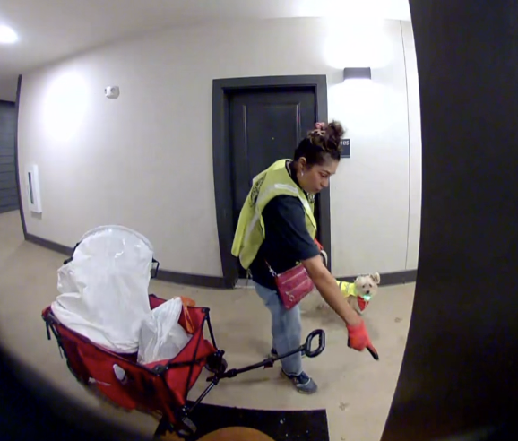 ジェネビーブとプリンセスの姿