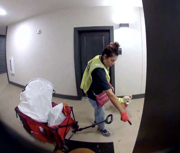 ジェネビーブとプリンセスの姿