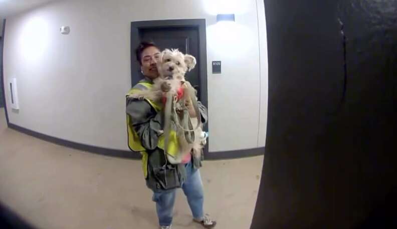 オリビアのアパートでのジェネビーブとプリンセス