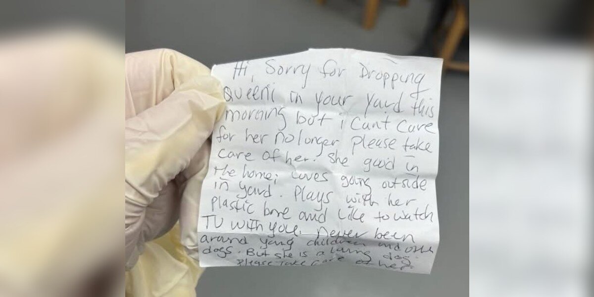 Family Finds A Trembling Dog In Their Yard And A Note That Changes ...
