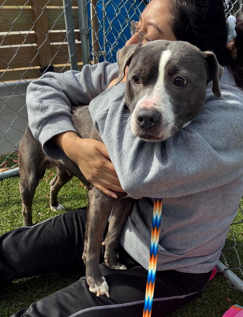 クイーニの弱々しい姿