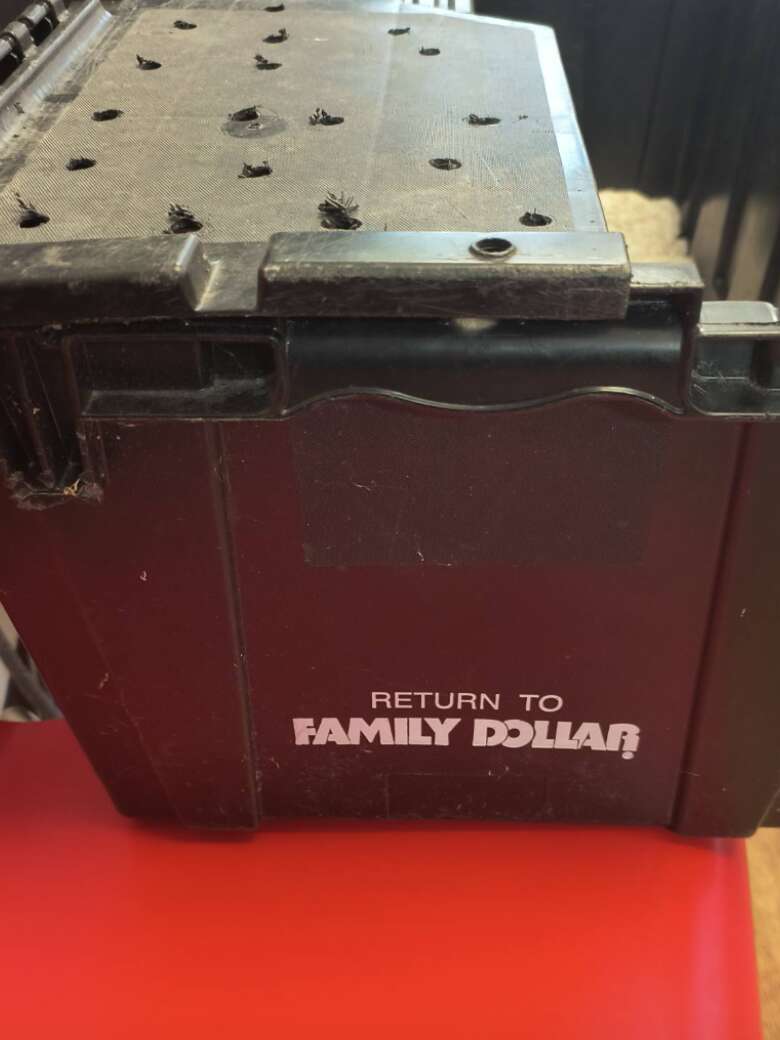 箱の中にいる子犬たち