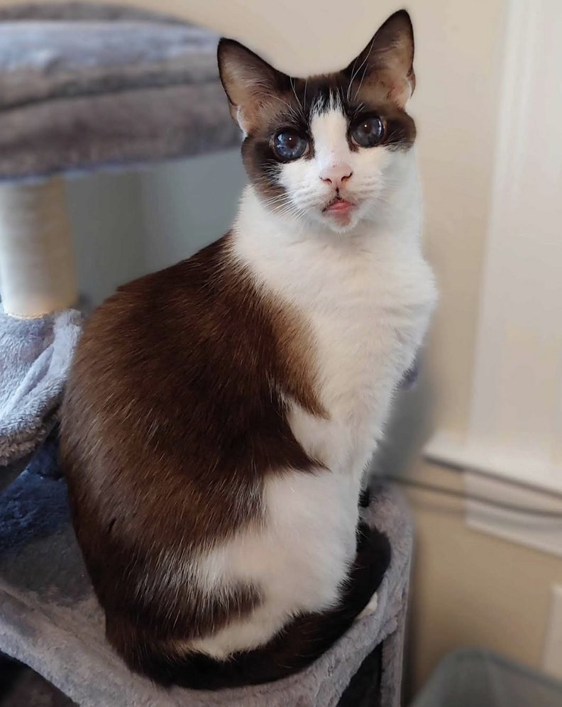 ガーネットとサンティアゴ