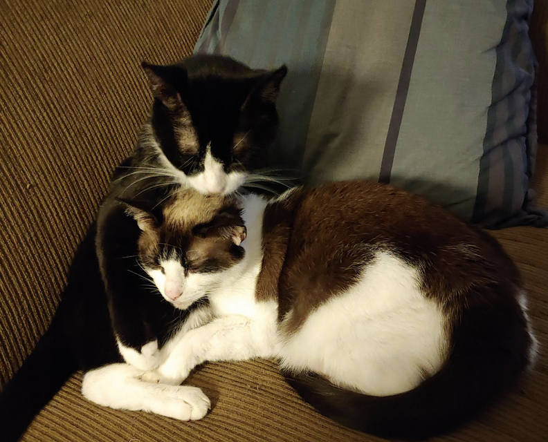 Garnet and Santiago cuddling