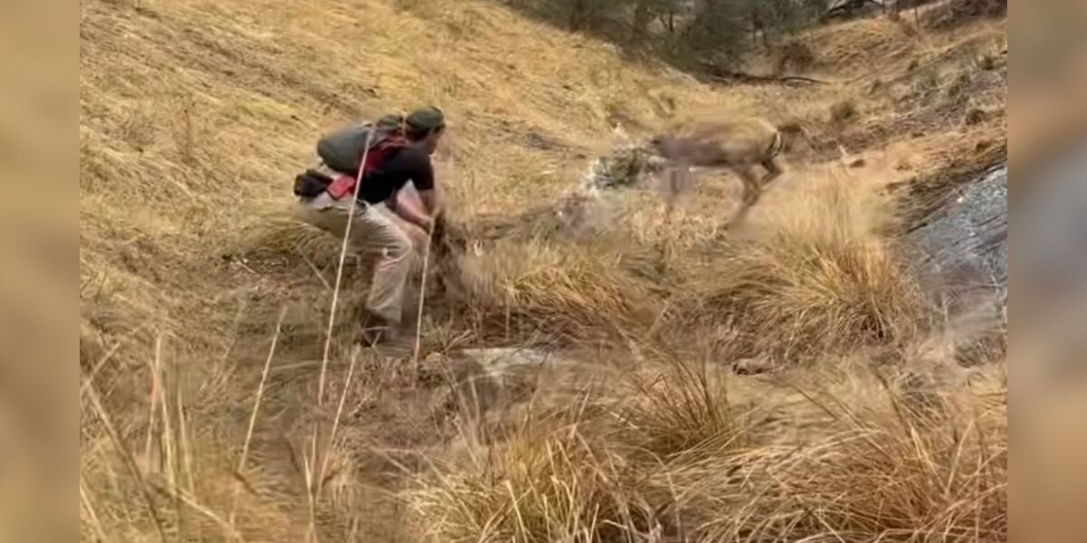 Wild Animal Tangled Up In Trash Relaxes In Man's Hands During 'Magic ...