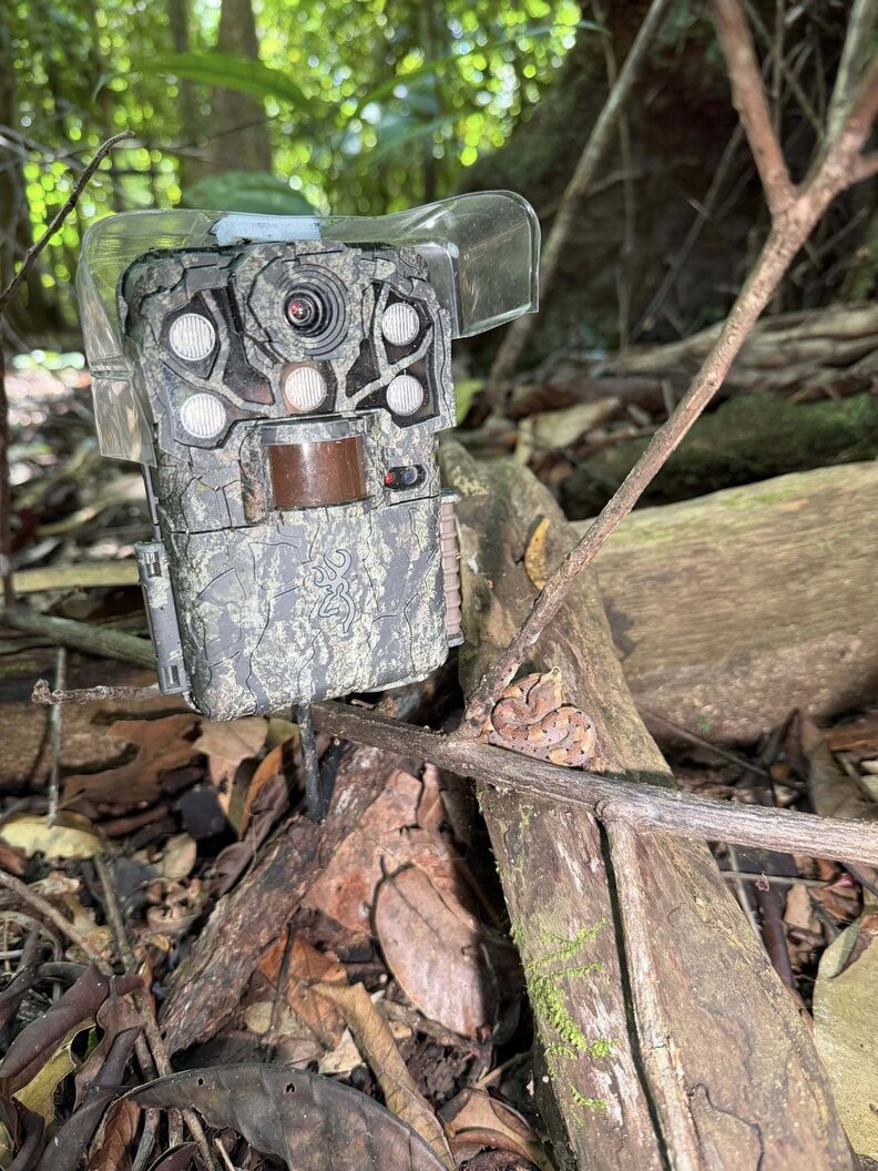 trail camera