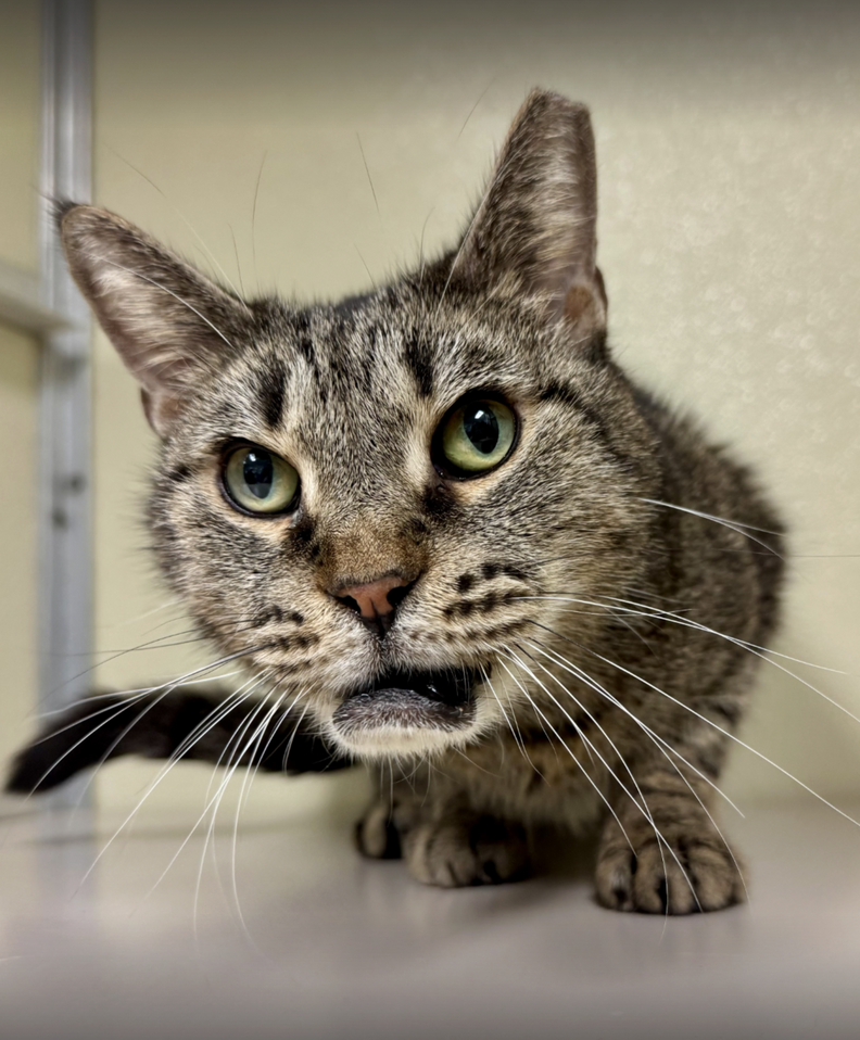 リラックス中のサーモンちゃん