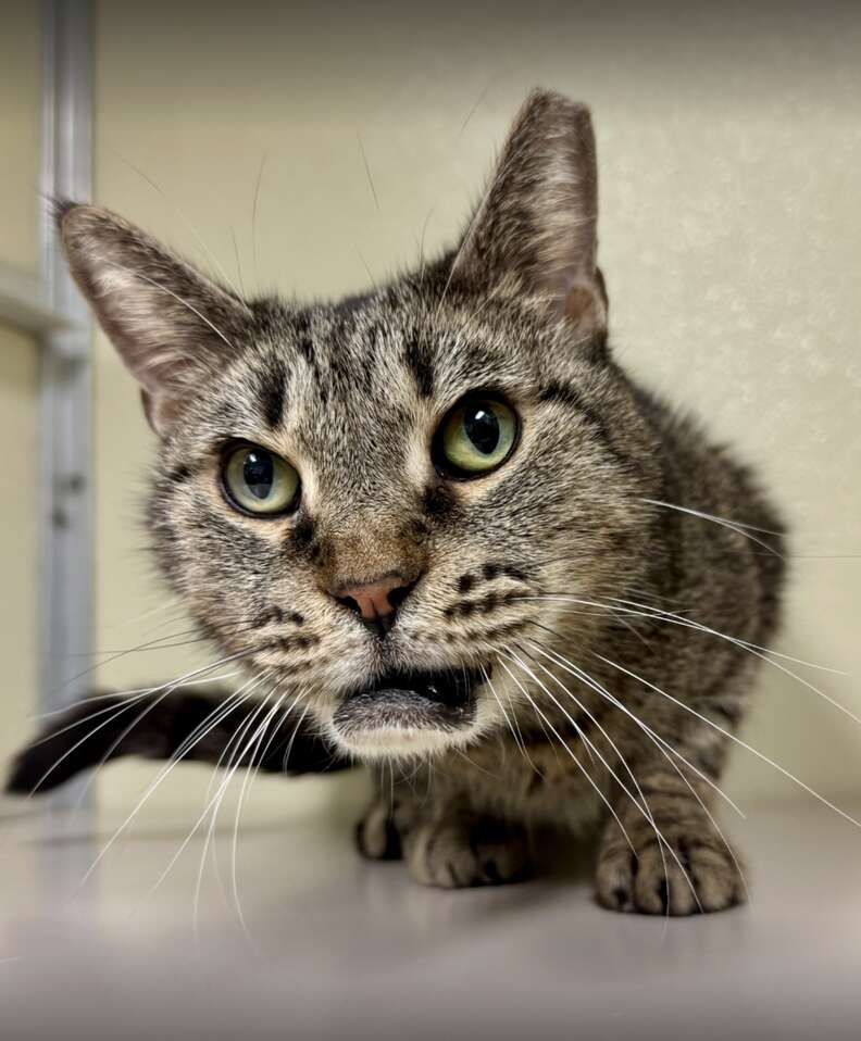 リラックス中のサーモンちゃん