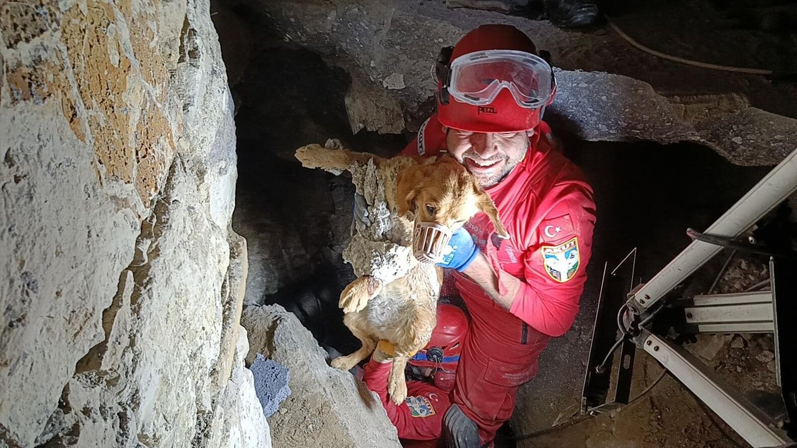 Dog Trapped In Concrete Barked For Hours Until Rescuers Arrived - The Dodo