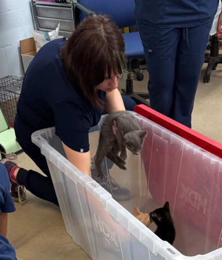 Anne Arundel County Animal Services exterior