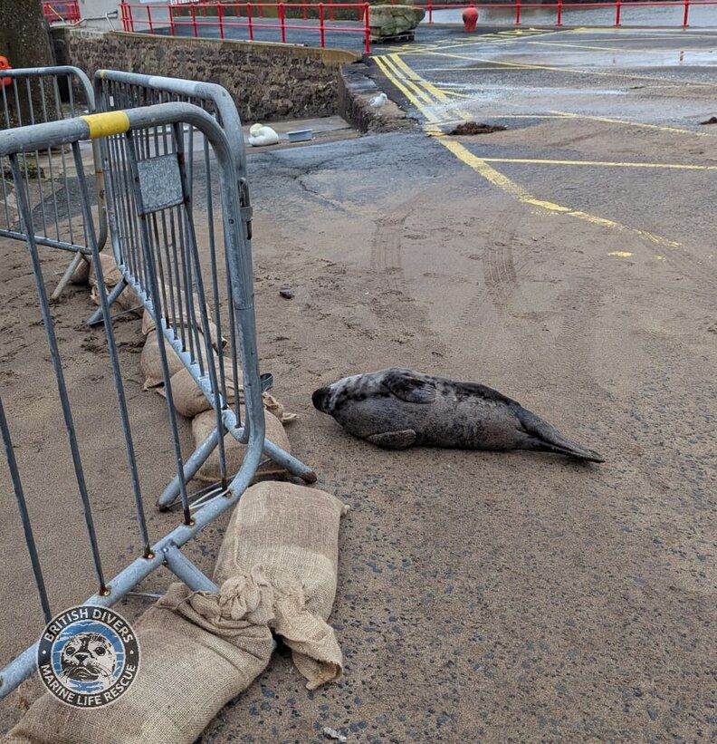 seal outside barrier