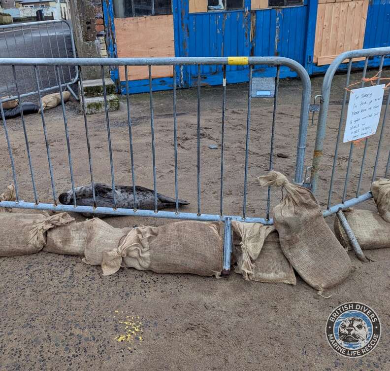 seal inside barrier