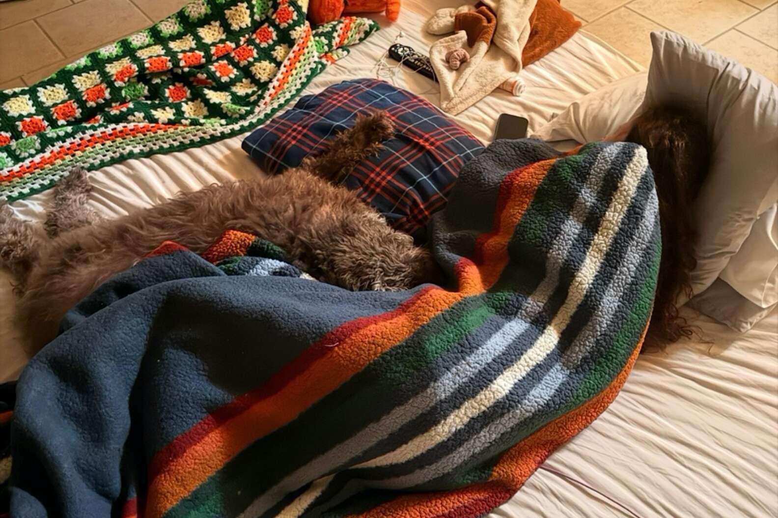 Senior dog and woman cuddle on the floor