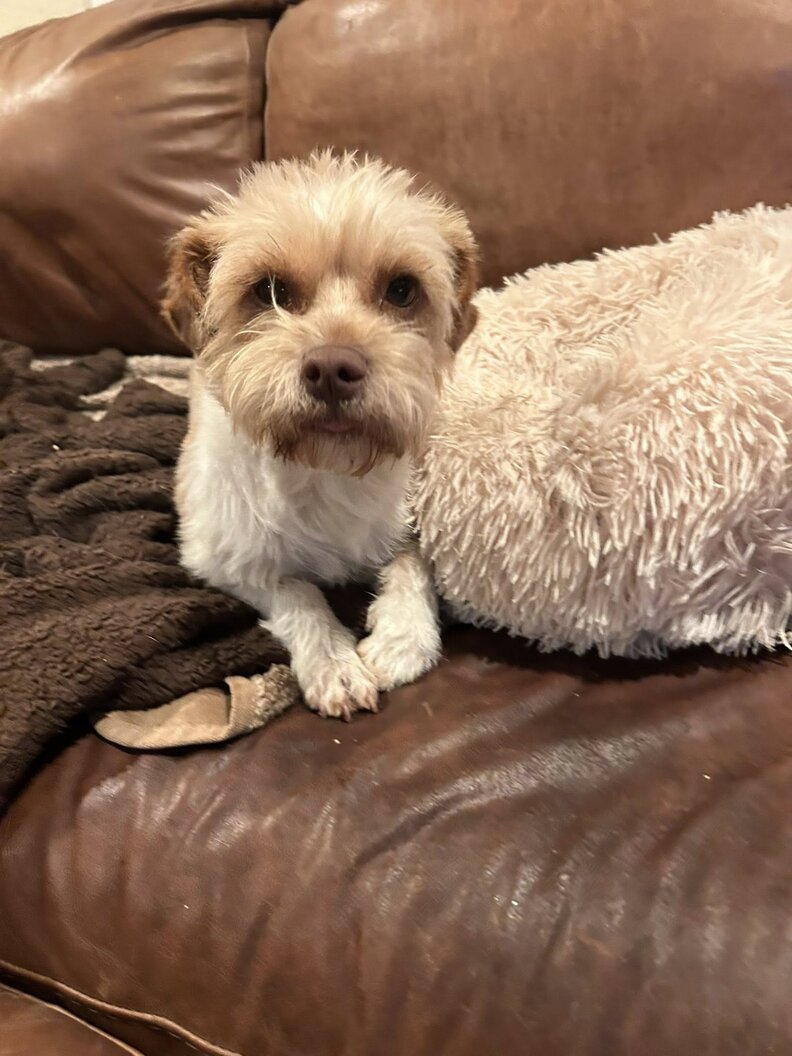 リジェクトの変身