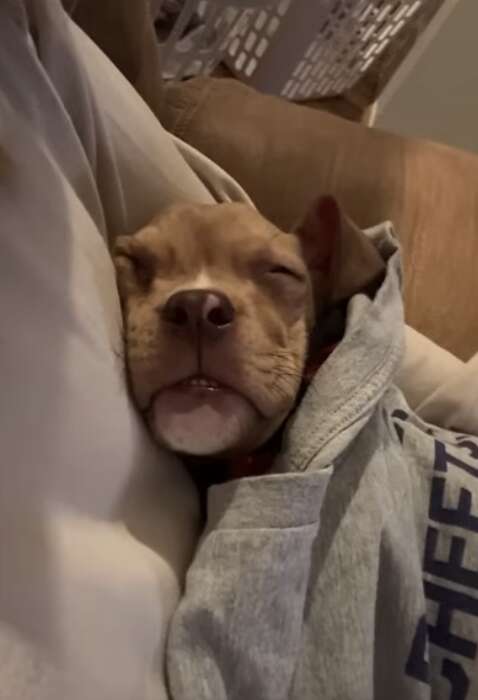 ドラムミーの成長