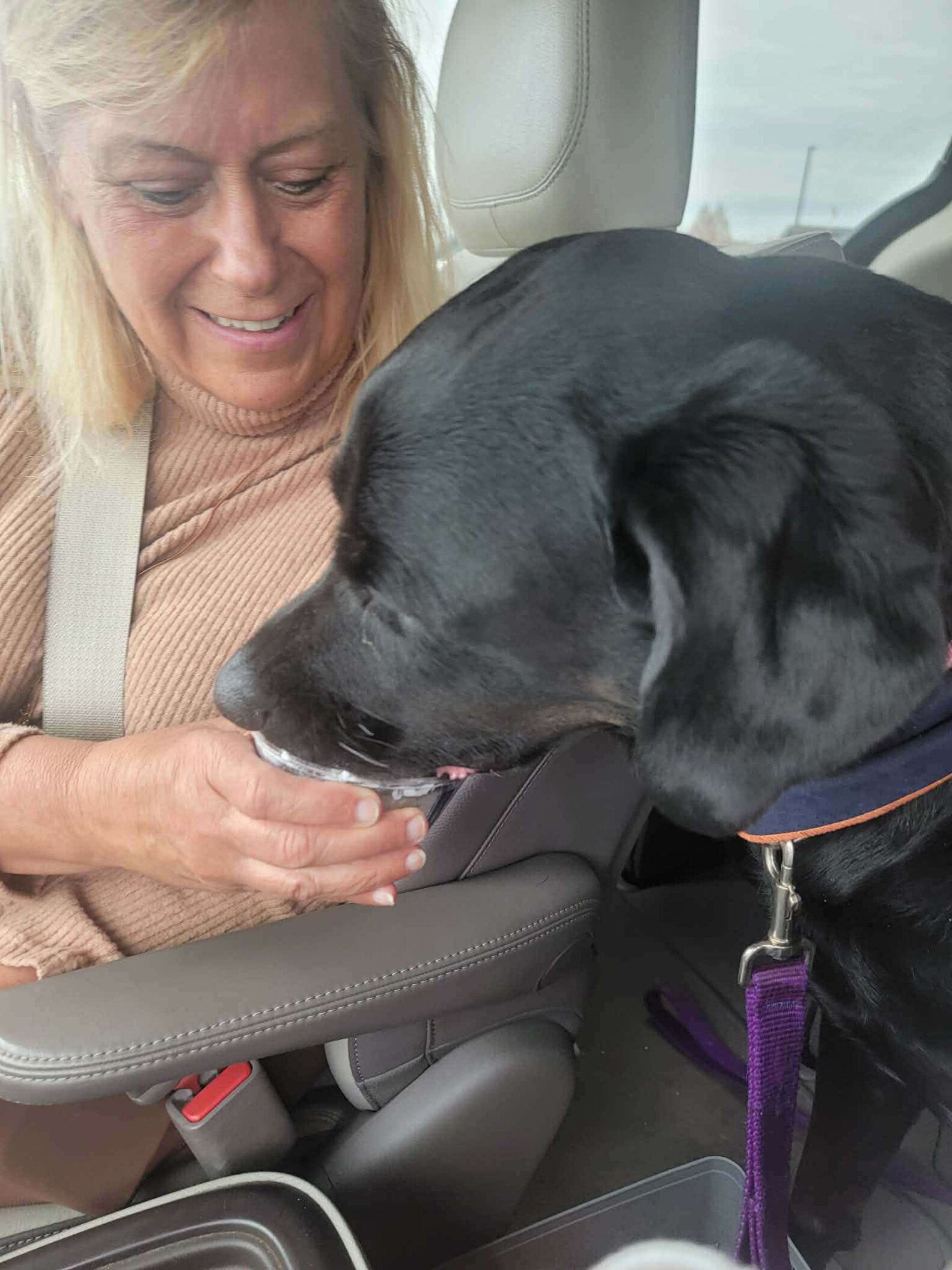 Labrador Desperate For Affection Returned To Shelter For Being 'Too Big ...