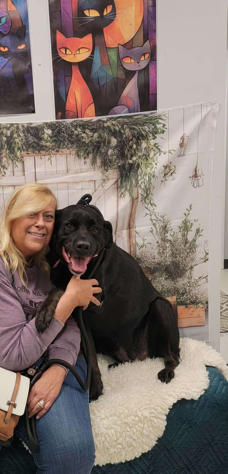 Labrador Desperate For Affection Returned To Shelter For Being 'Too Big ...
