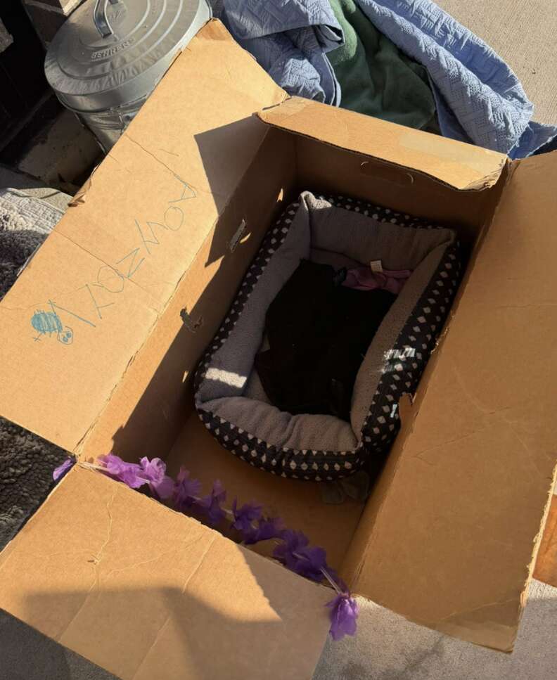 empty box with writing on the side