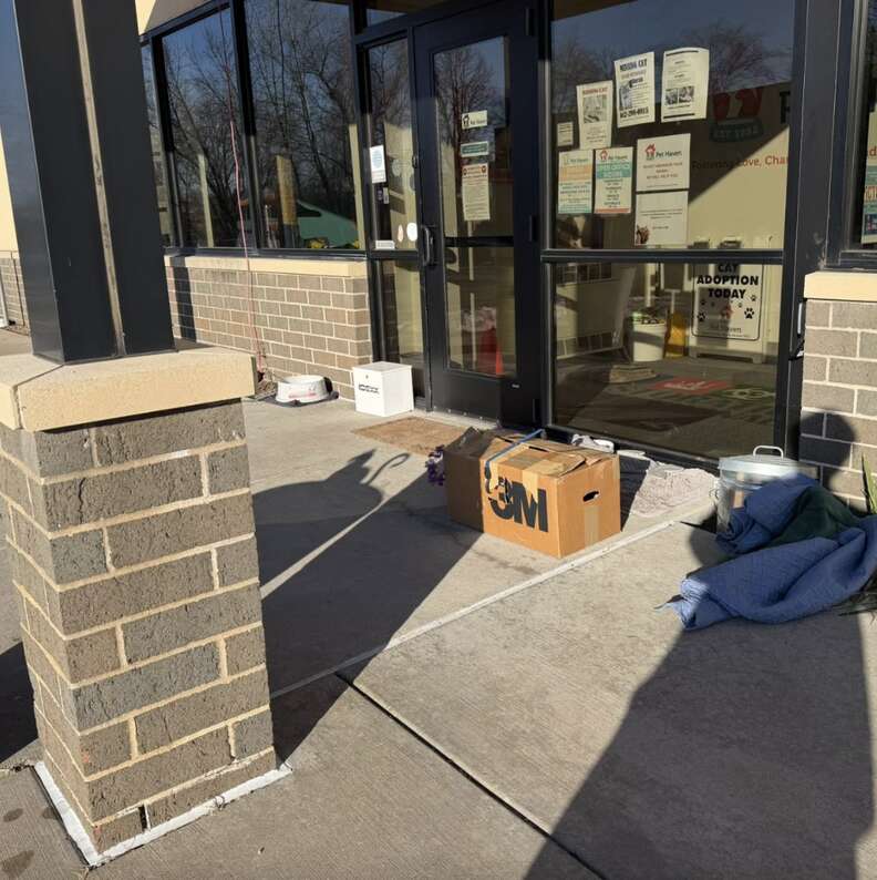 bungee-corded box near shelter door