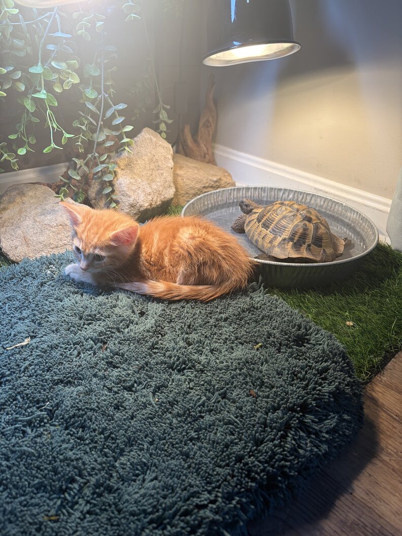 Nelly and Bert together