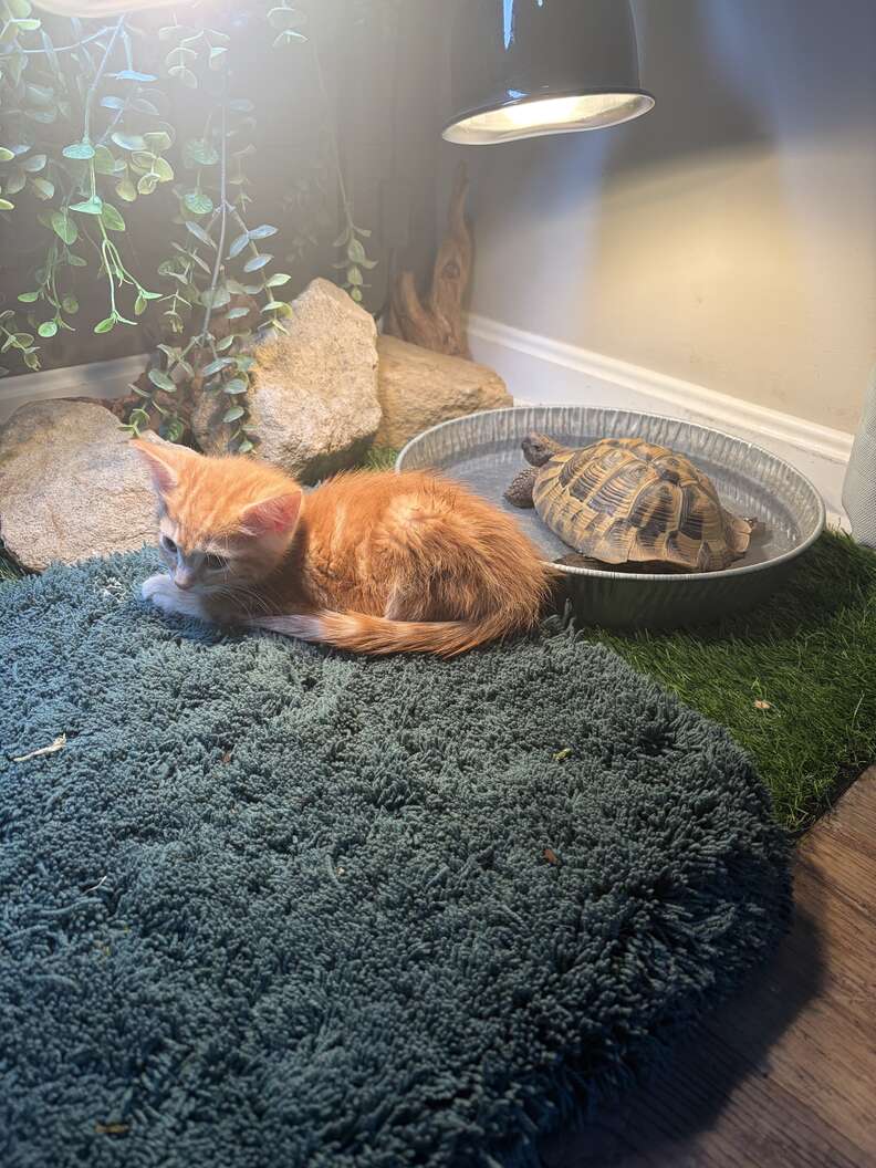 Nelly and Bert together