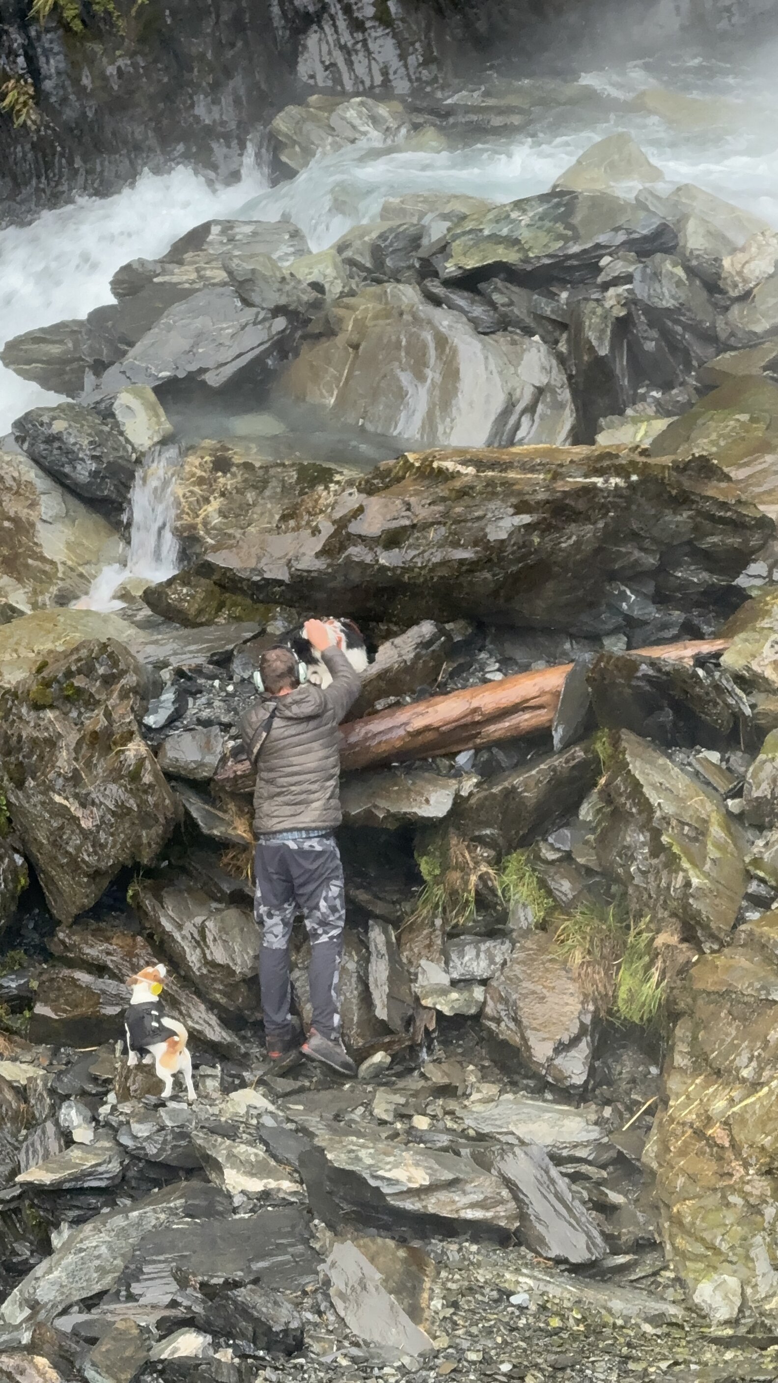 Hiker Survives 180-Foot Fall Down A Waterfall — A Week Later, Her Dog ...