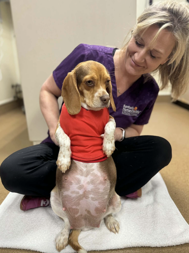 ウィニーと獣医