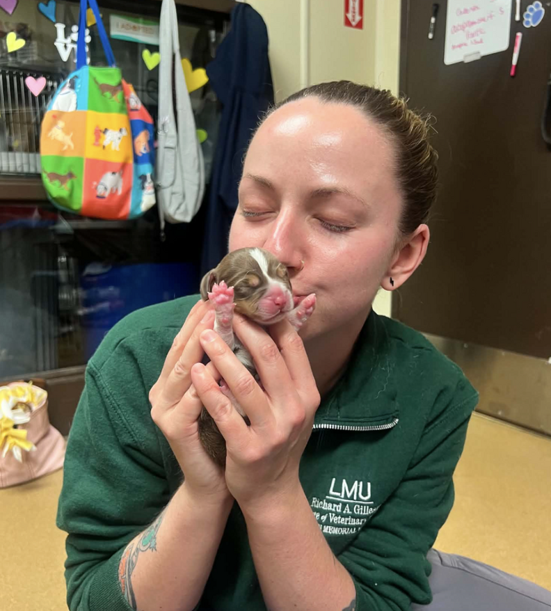 赤ちゃんを抱っこする女性