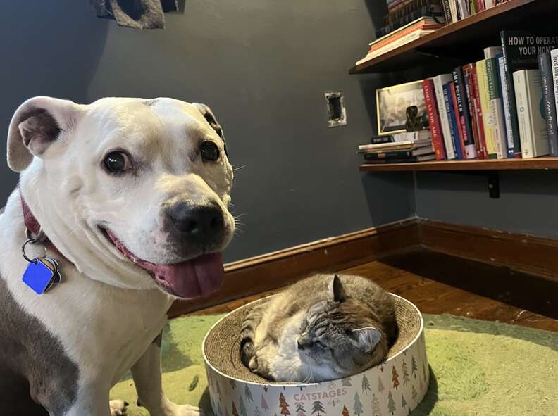 Chanceの新しい家族