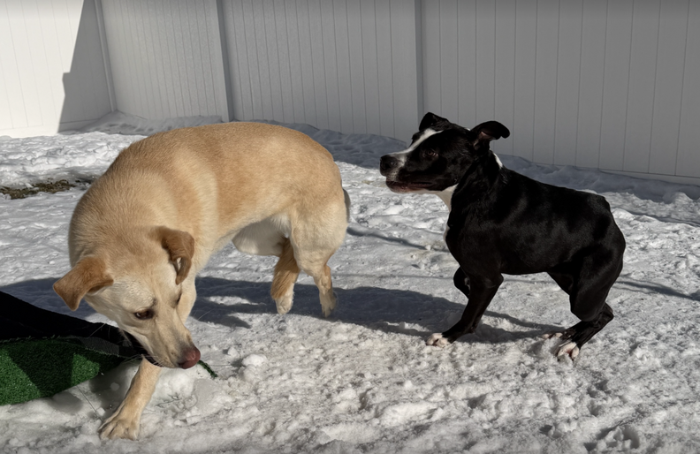 ミリー・メイとエリンさん