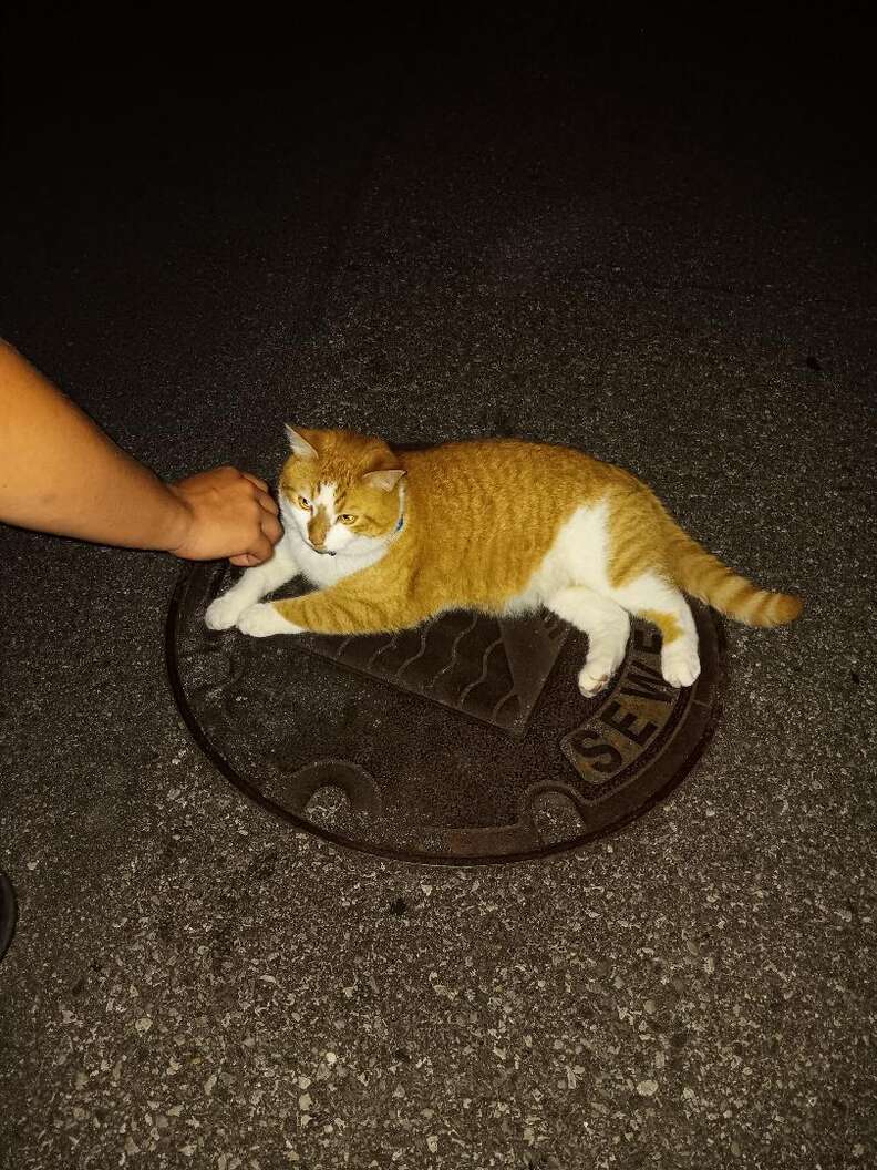 Walter in the Ambulance