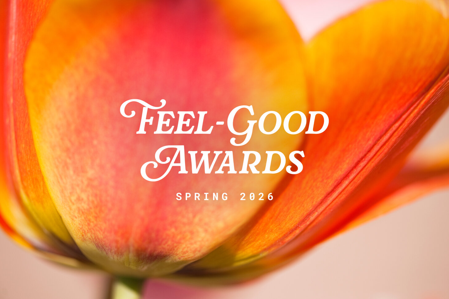 Introducing Popsugar's Spring Feel-Good Award Winners