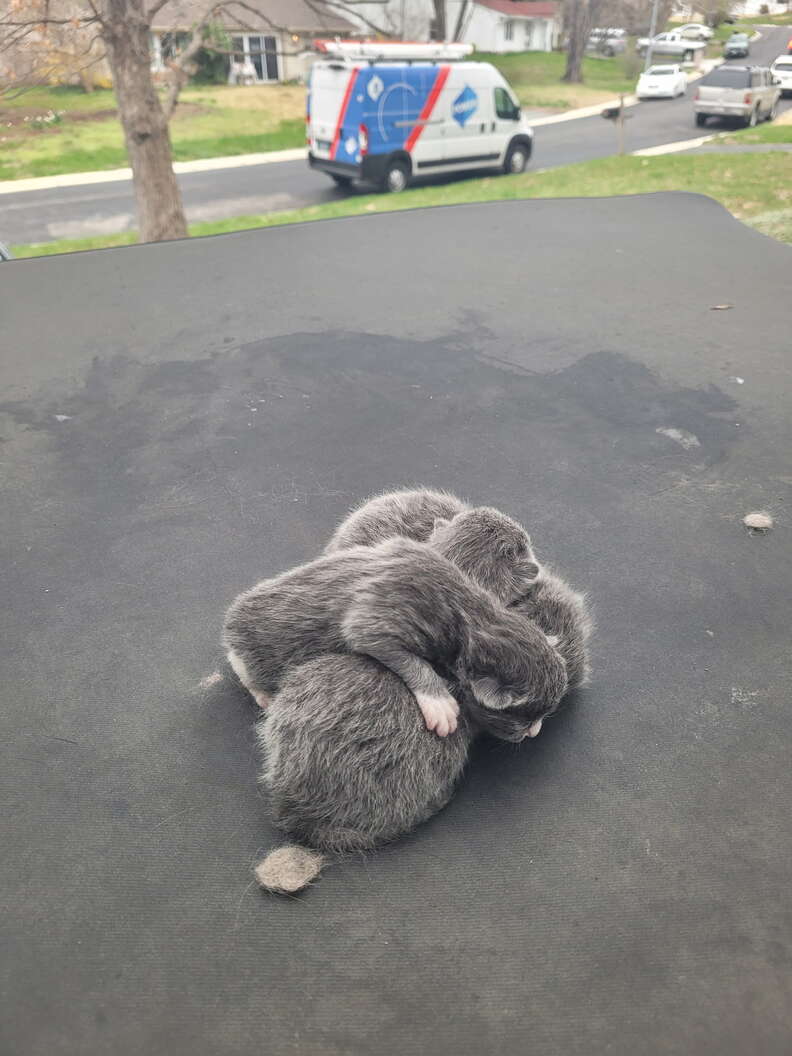 The family Jeep covered with a tarp