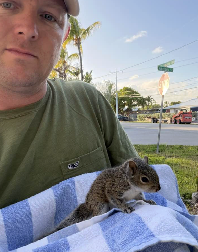 タオルにくるまったリス