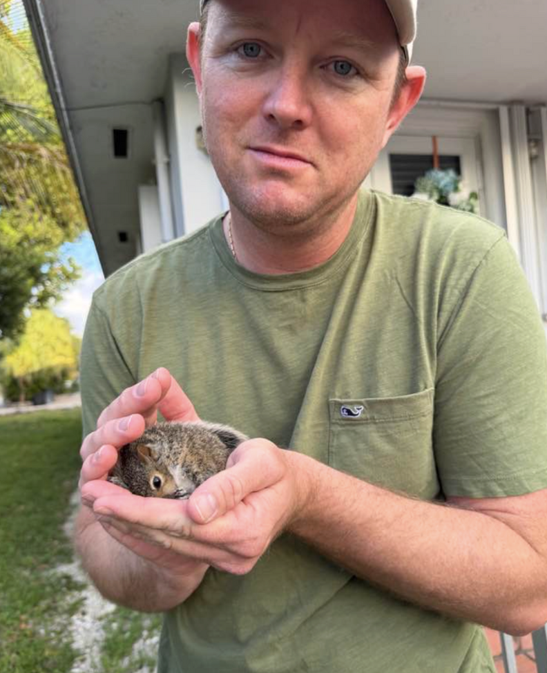 赤ちゃんリスを抱っこしている人