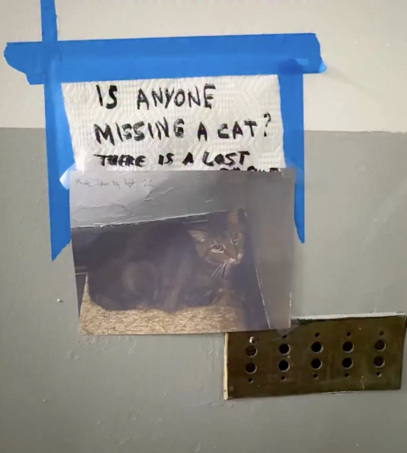 Note in the apartment lobby mentioning a lost cat