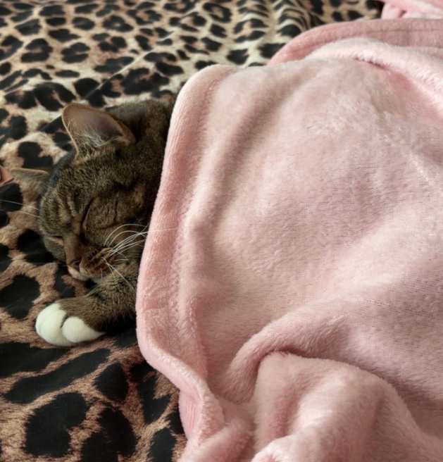 Officer using rescue tools