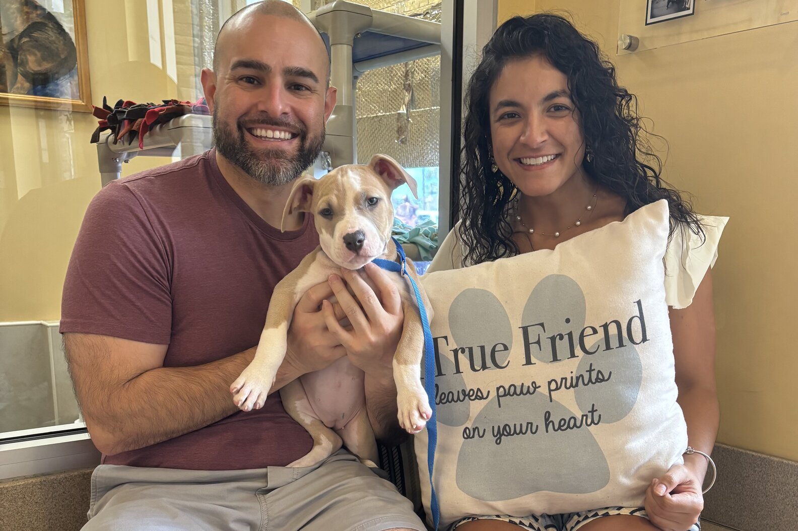 新しい家族に迎えられた子犬