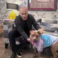Bob Odenkirk and dog