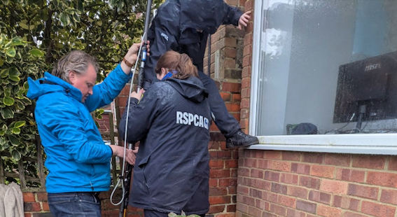 救助活動中の様子