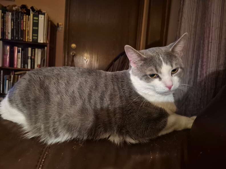 ビョルンと新しい家族