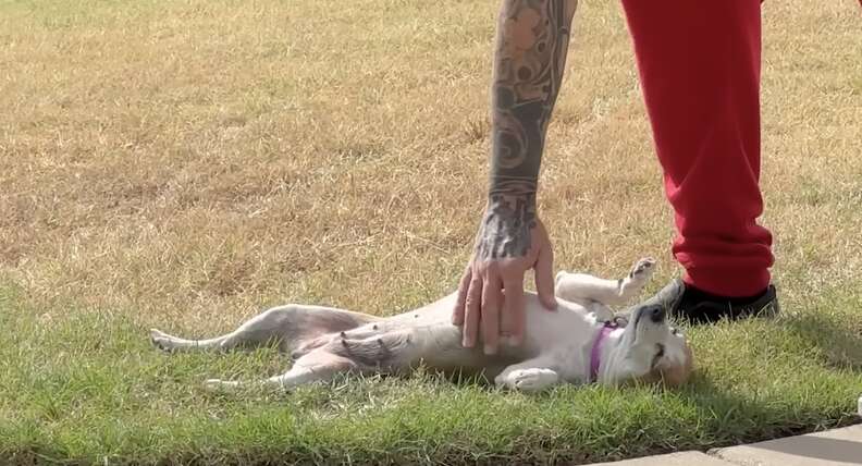 ベラが遊んでいる様子