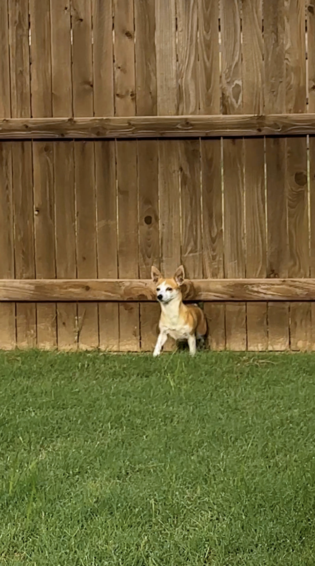 ベラと一緒にいる幸せな瞬間