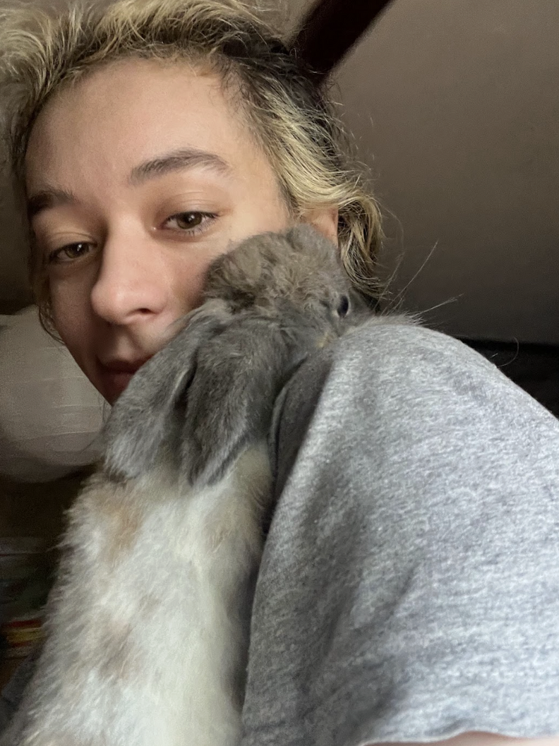 Rabbit Who Keeps Losing Her Home Hugs Rescuer When She Finally Feels ...