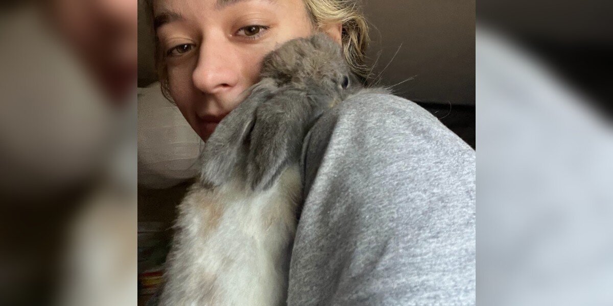 Rabbit Who Keeps Losing Her Home Hugs Rescuer When She Finally Feels Safe