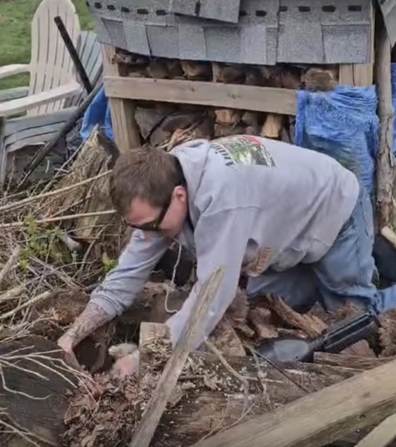 Heartwarming Rescue: Abandoned Rabbit Den Yields Two Orange Babies ...