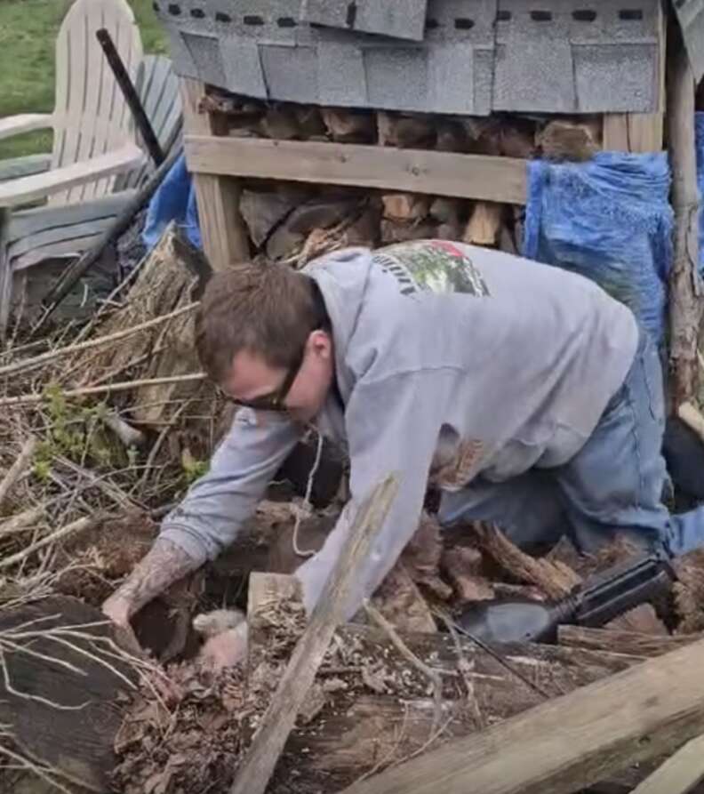 The rabbit den where the kittens were found